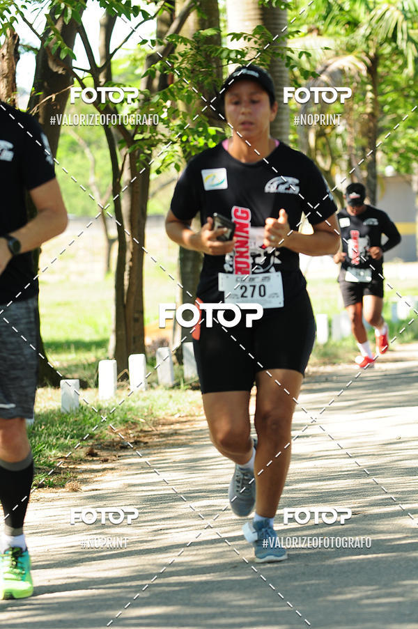 Acquista le foto dell'eventoPIT BULL RUNNING in Fotop