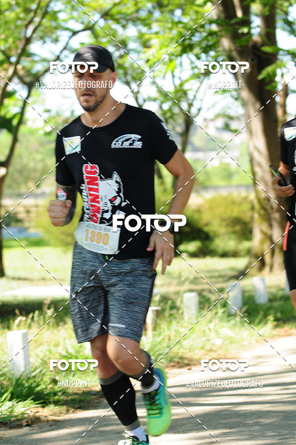 Acquista le foto dell'eventoPIT BULL RUNNING in Fotop