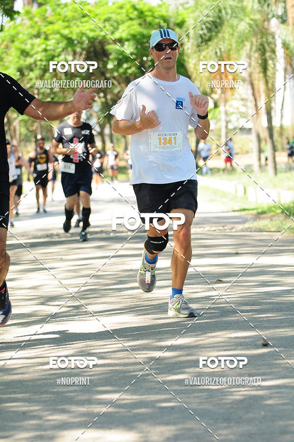 Acquista le foto dell'eventoPIT BULL RUNNING in Fotop