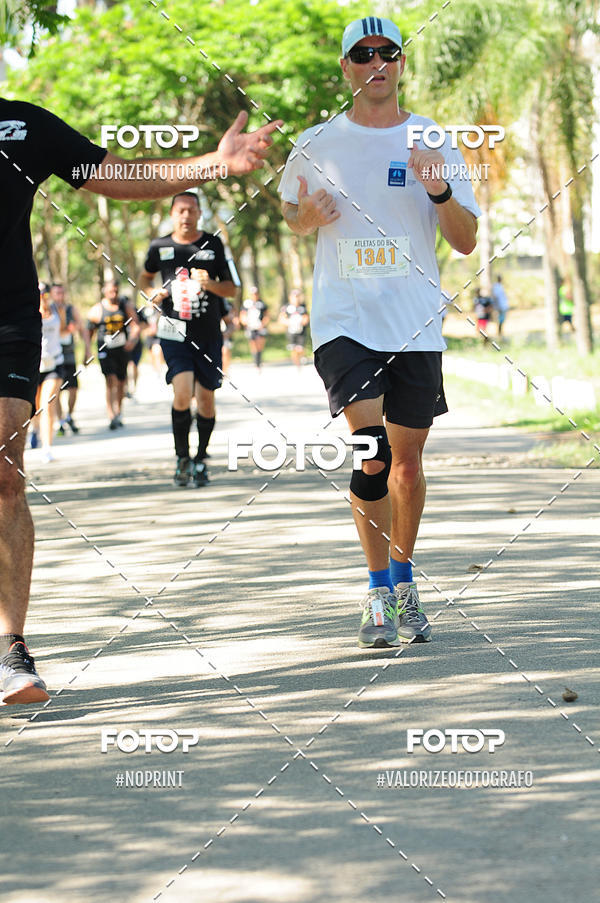 Acquista le foto dell'eventoPIT BULL RUNNING in Fotop