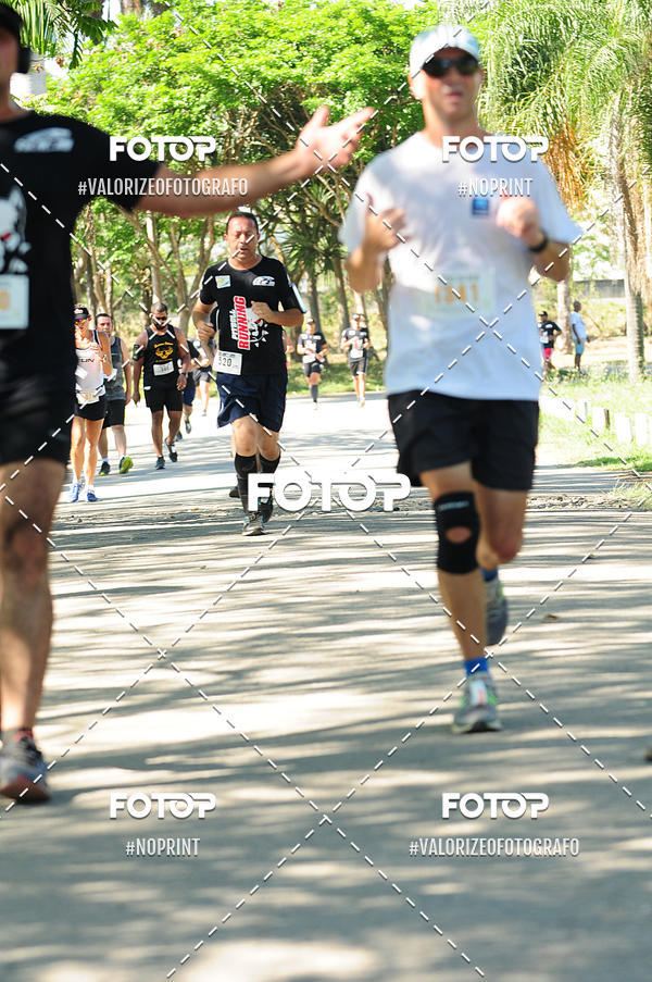 Acquista le foto dell'eventoPIT BULL RUNNING in Fotop