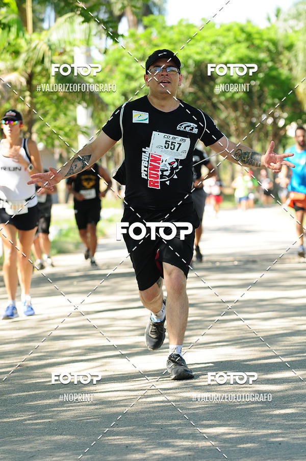 Compre suas fotos do eventoPIT BULL RUNNING no Fotop