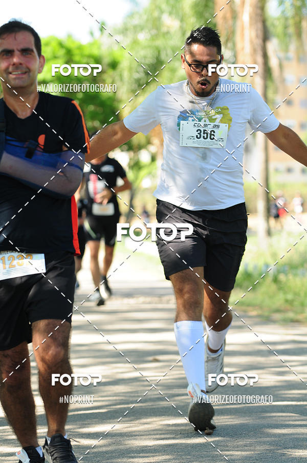 Compre as suas fotos do eventoPIT BULL RUNNING no Fotop