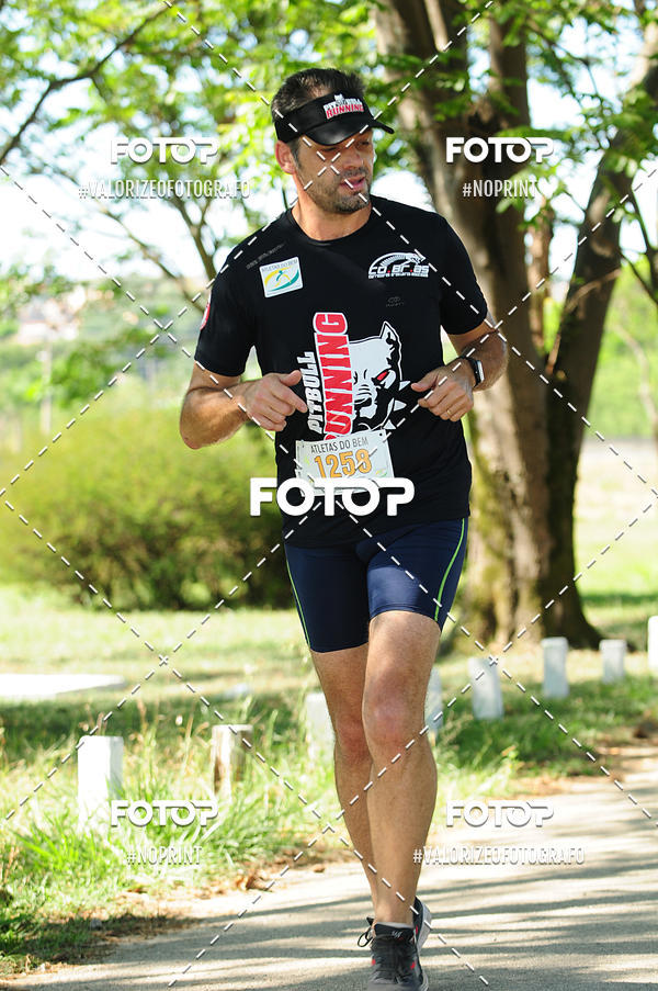 Buy your photos of the eventPIT BULL RUNNING on Fotop