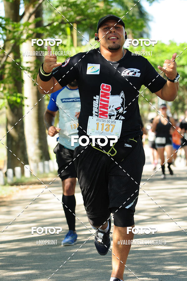 Buy your photos of the eventPIT BULL RUNNING on Fotop