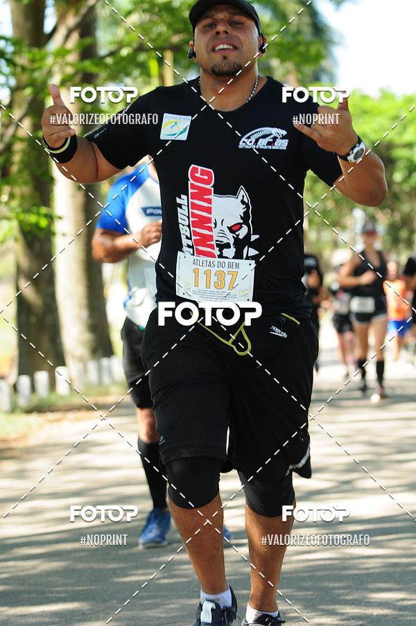 Buy your photos of the eventPIT BULL RUNNING on Fotop