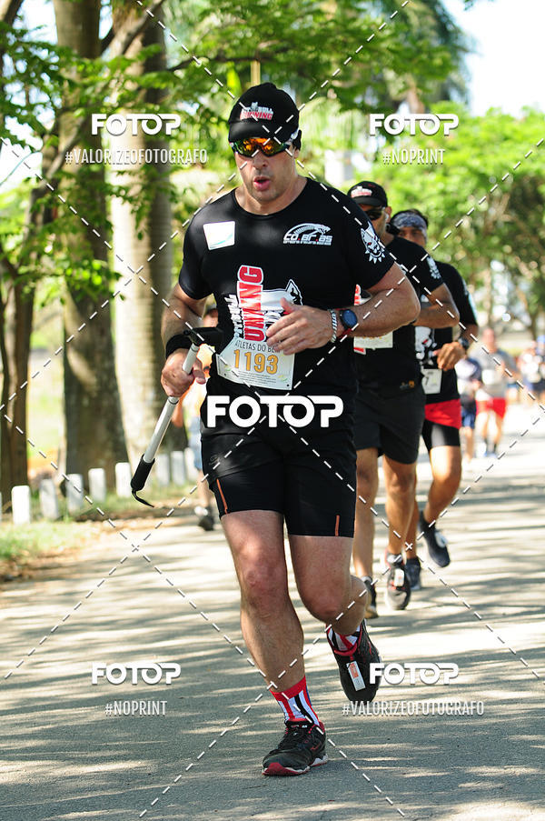 Achetez vos photos de l'vnementPIT BULL RUNNING sur Fotop