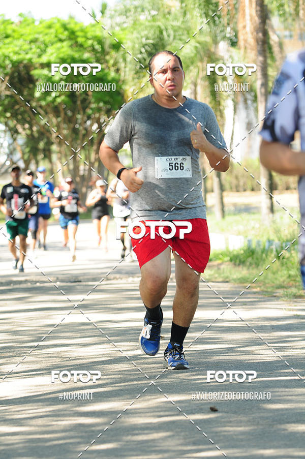 Achetez vos photos de l'vnementPIT BULL RUNNING sur Fotop