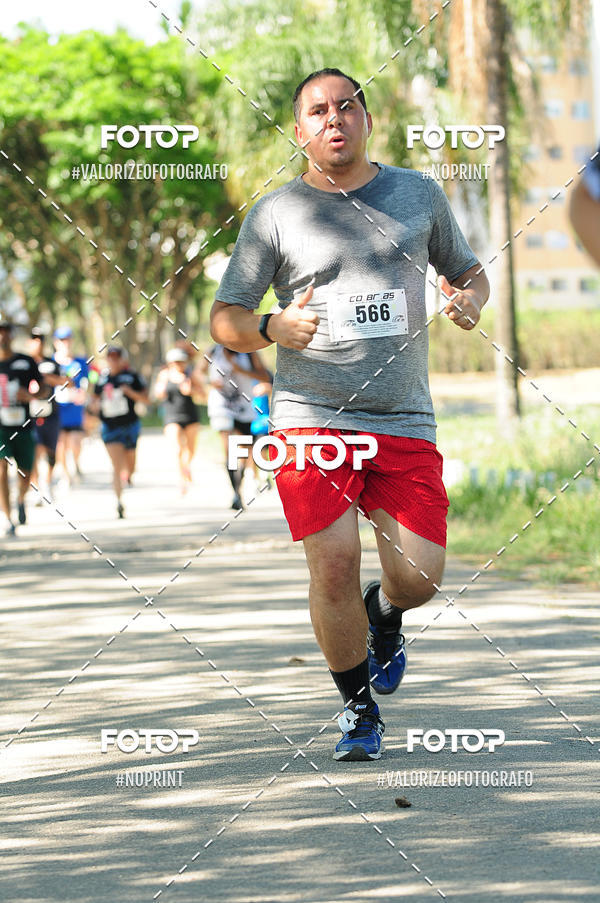 Achetez vos photos de l'vnementPIT BULL RUNNING sur Fotop