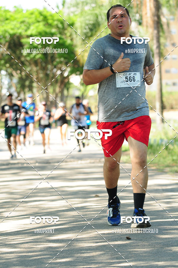 Achetez vos photos de l'vnementPIT BULL RUNNING sur Fotop