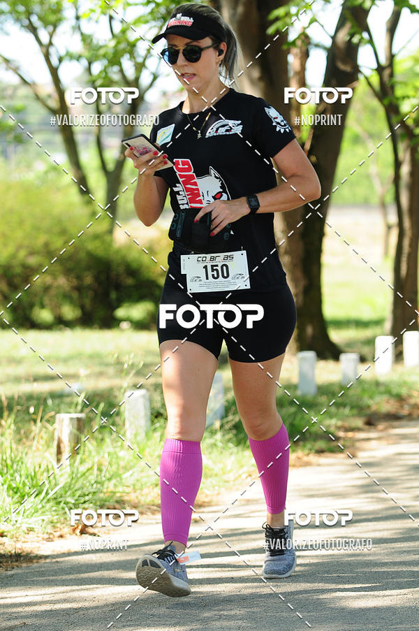 Buy your photos of the eventPIT BULL RUNNING on Fotop