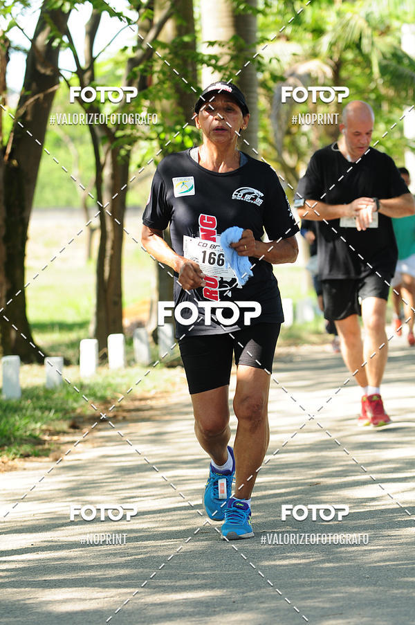 Buy your photos of the eventPIT BULL RUNNING on Fotop