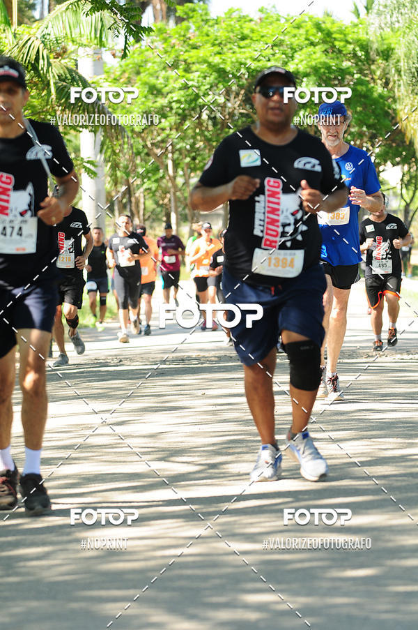 Buy your photos of the eventPIT BULL RUNNING on Fotop