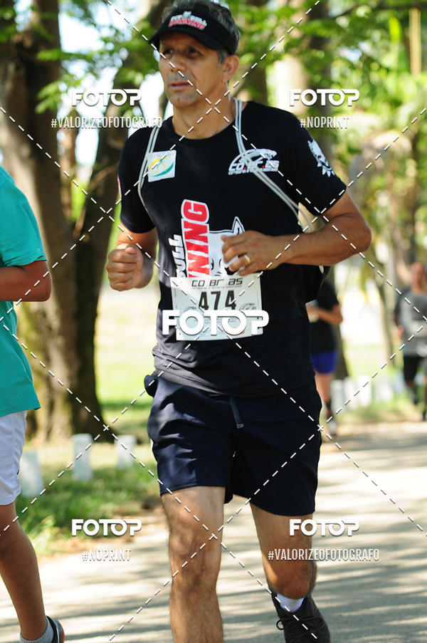 Buy your photos of the eventPIT BULL RUNNING on Fotop