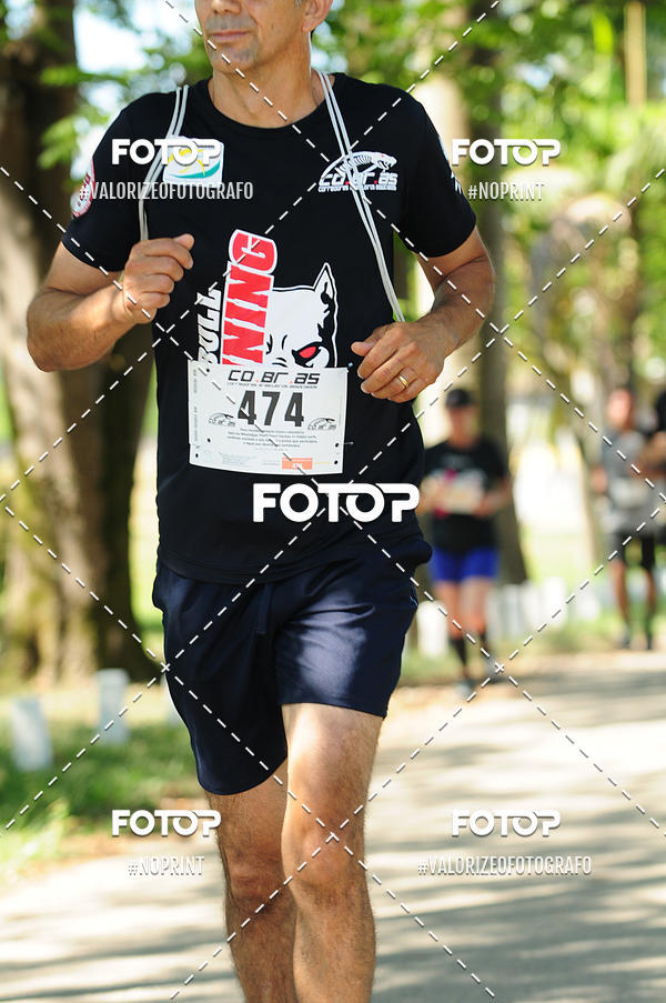 Buy your photos of the eventPIT BULL RUNNING on Fotop