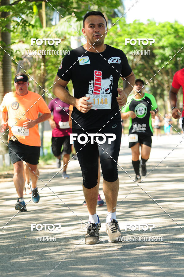 Acquista le foto dell'eventoPIT BULL RUNNING in Fotop