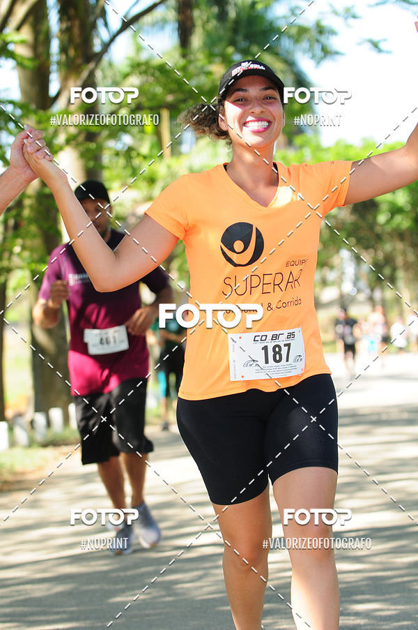 Acquista le foto dell'eventoPIT BULL RUNNING in Fotop