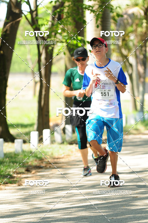 Acquista le foto dell'eventoPIT BULL RUNNING in Fotop