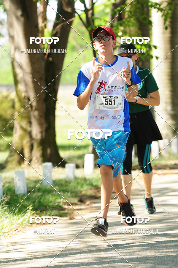 Acquista le foto dell'eventoPIT BULL RUNNING in Fotop