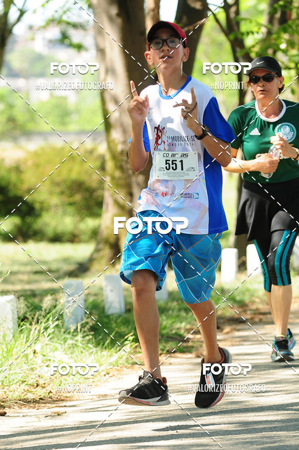 Acquista le foto dell'eventoPIT BULL RUNNING in Fotop