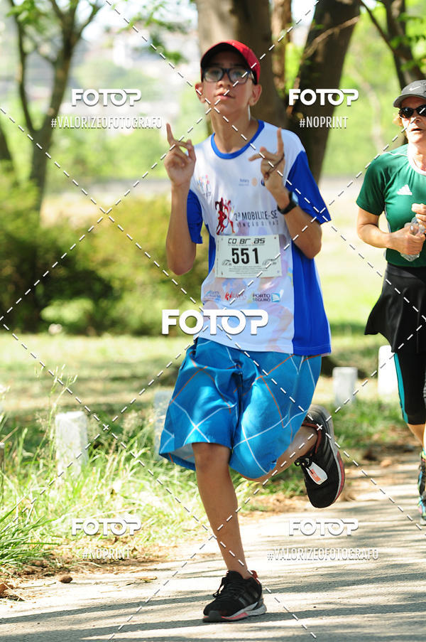 Acquista le foto dell'eventoPIT BULL RUNNING in Fotop