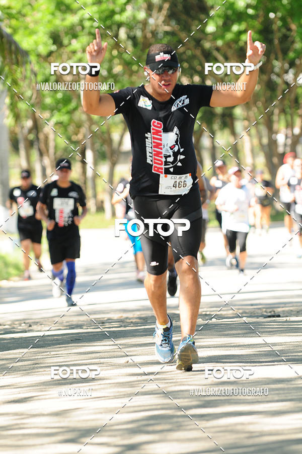 Acquista le foto dell'eventoPIT BULL RUNNING in Fotop