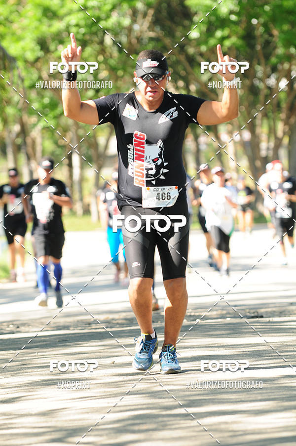 Acquista le foto dell'eventoPIT BULL RUNNING in Fotop