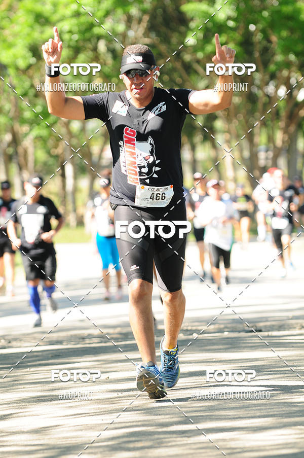 Acquista le foto dell'eventoPIT BULL RUNNING in Fotop