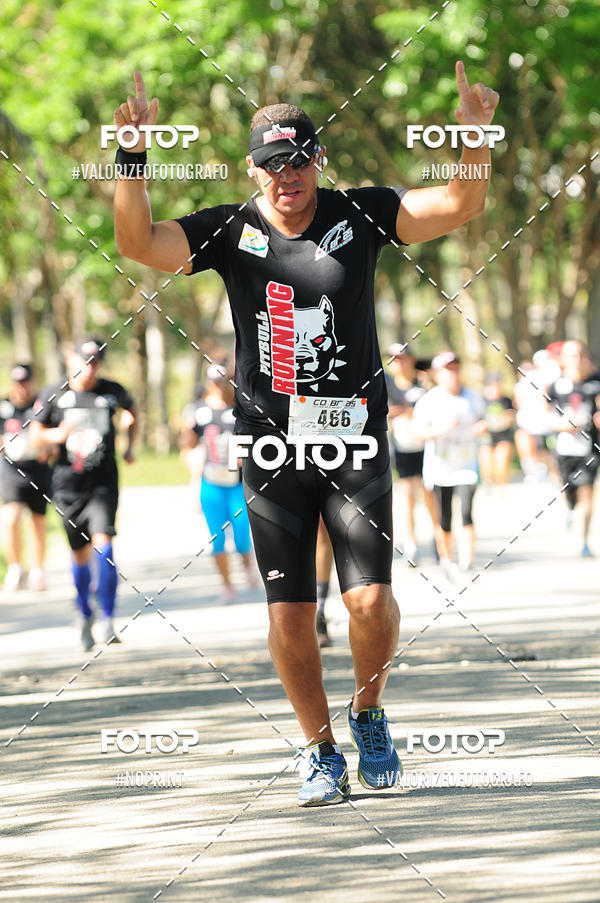 Acquista le foto dell'eventoPIT BULL RUNNING in Fotop