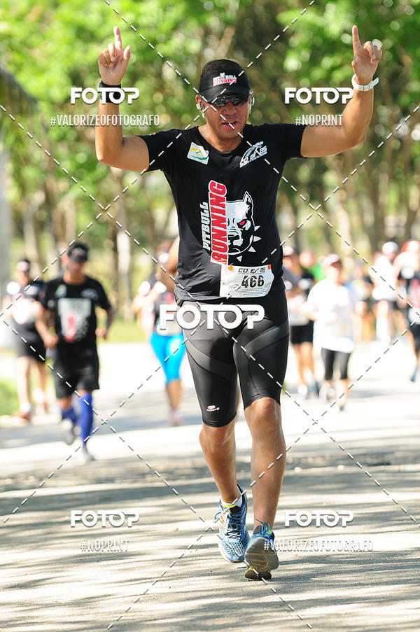 Acquista le foto dell'eventoPIT BULL RUNNING in Fotop