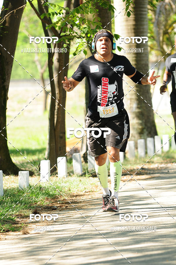 Acquista le foto dell'eventoPIT BULL RUNNING in Fotop