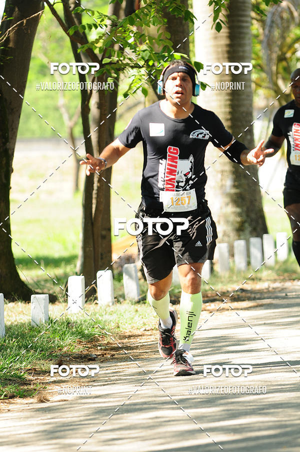 Buy your photos of the eventPIT BULL RUNNING on Fotop