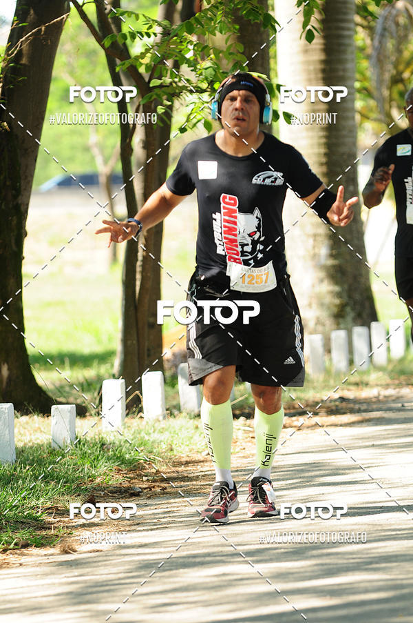 Acquista le foto dell'eventoPIT BULL RUNNING in Fotop