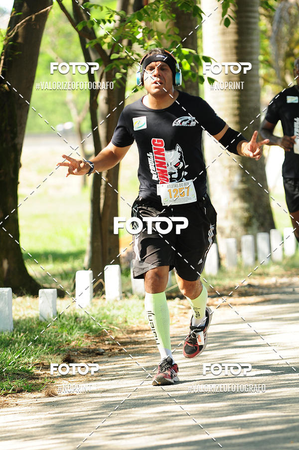 Acquista le foto dell'eventoPIT BULL RUNNING in Fotop