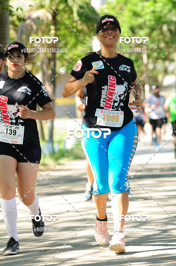 Buy your photos of the eventPIT BULL RUNNING on Fotop