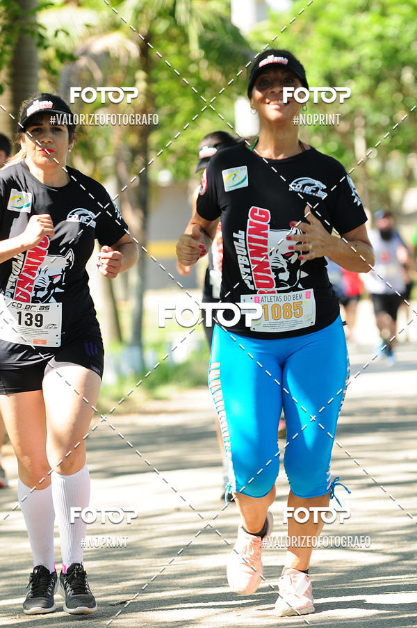 Buy your photos of the eventPIT BULL RUNNING on Fotop