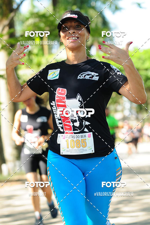 Buy your photos of the eventPIT BULL RUNNING on Fotop