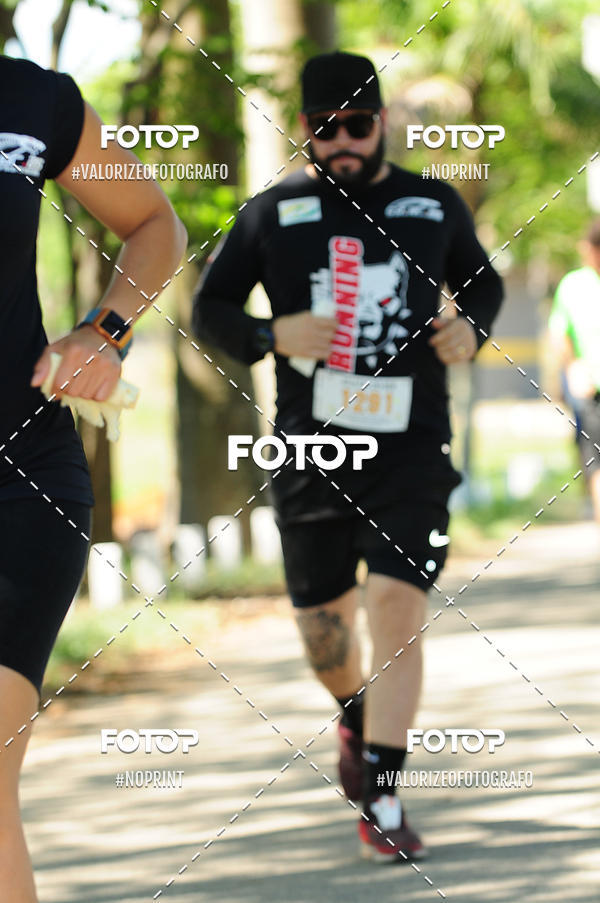 Buy your photos of the eventPIT BULL RUNNING on Fotop