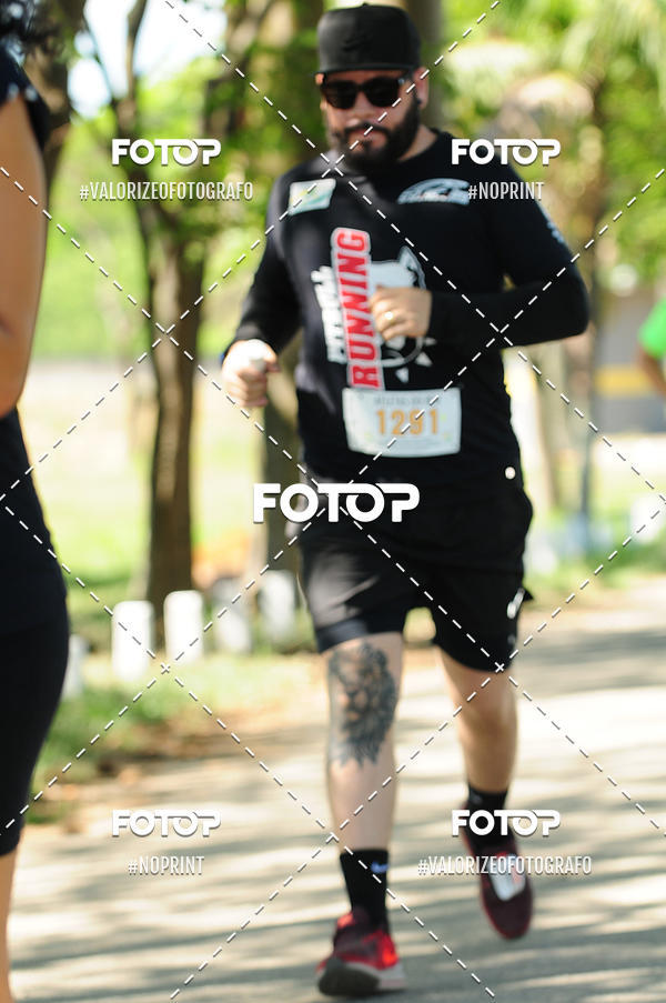 Buy your photos of the eventPIT BULL RUNNING on Fotop