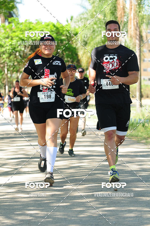 Buy your photos of the eventPIT BULL RUNNING on Fotop