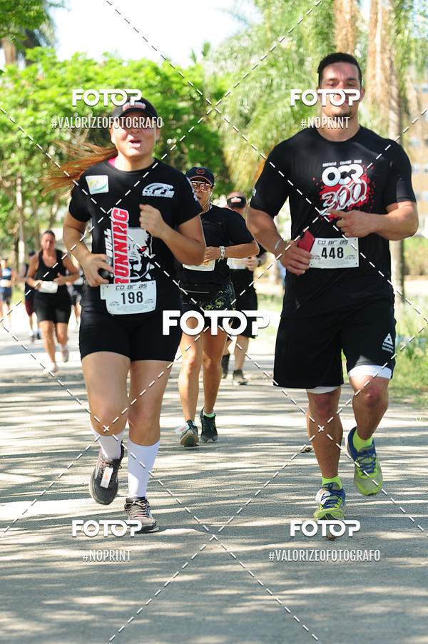 Buy your photos of the eventPIT BULL RUNNING on Fotop