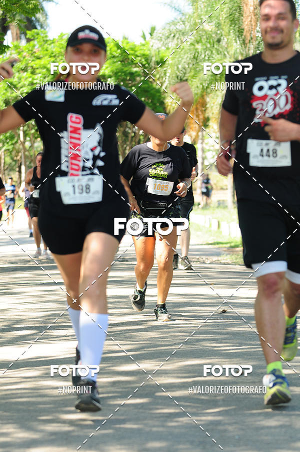 Buy your photos of the eventPIT BULL RUNNING on Fotop