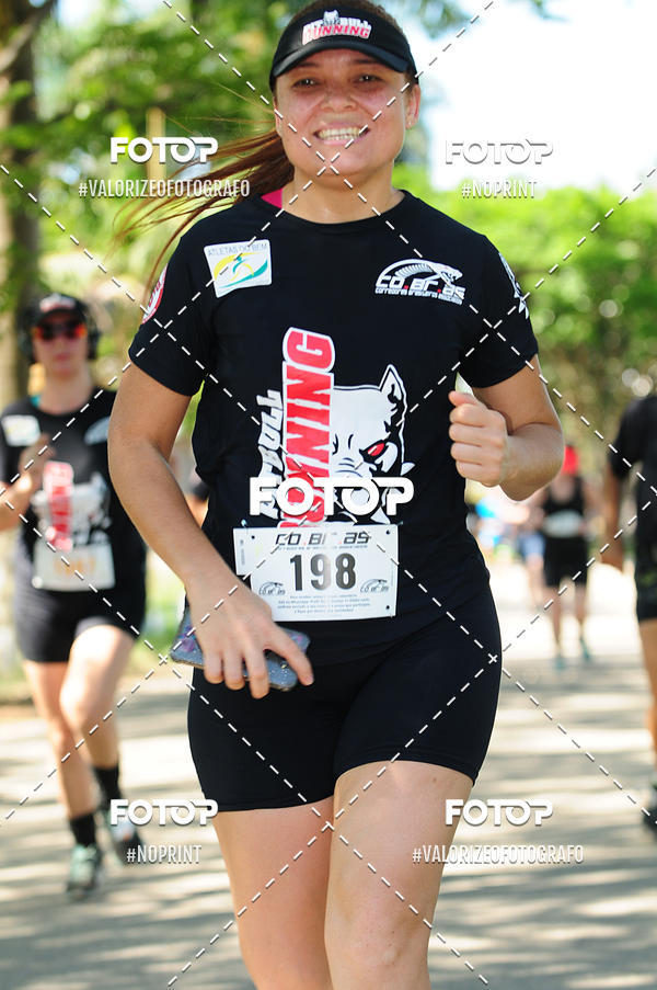 Buy your photos of the eventPIT BULL RUNNING on Fotop