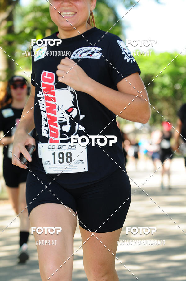 Buy your photos of the eventPIT BULL RUNNING on Fotop