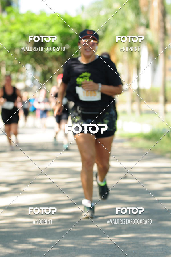 Buy your photos of the eventPIT BULL RUNNING on Fotop