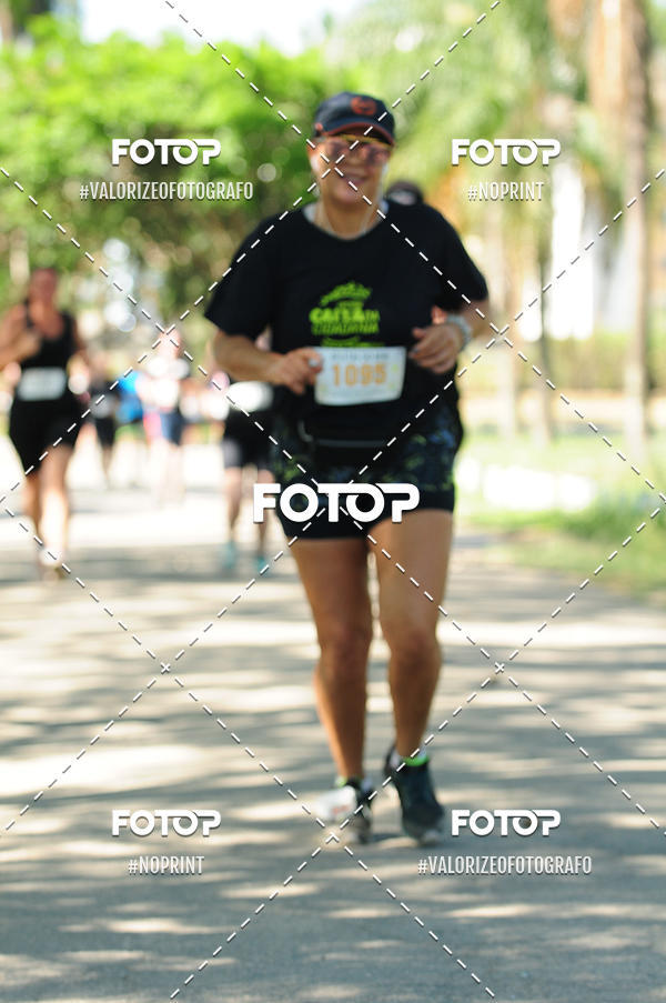 Buy your photos of the eventPIT BULL RUNNING on Fotop