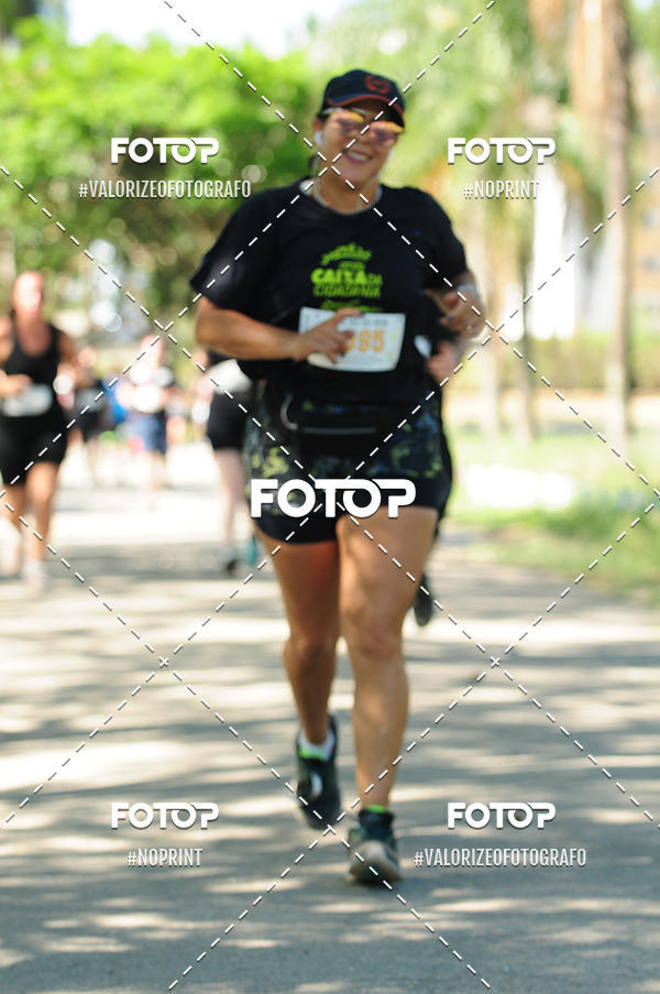 Buy your photos of the eventPIT BULL RUNNING on Fotop