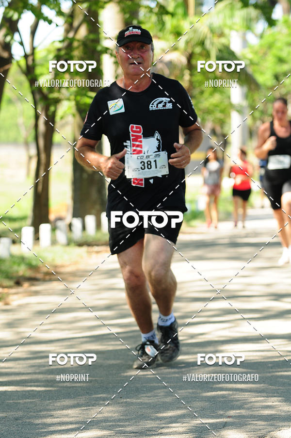 Buy your photos of the eventPIT BULL RUNNING on Fotop