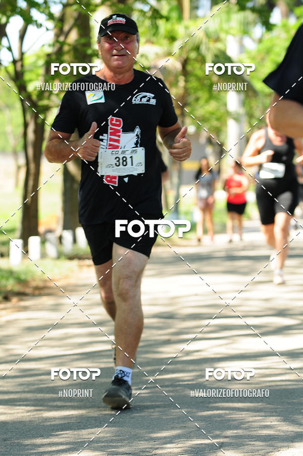 Buy your photos of the eventPIT BULL RUNNING on Fotop