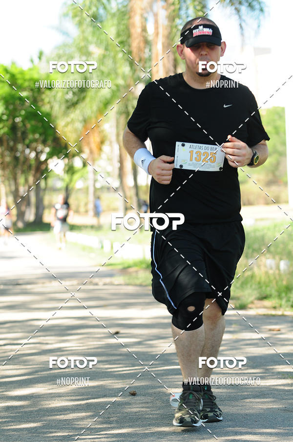 Buy your photos of the eventPIT BULL RUNNING on Fotop